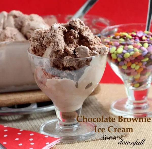 Chocolate Brownie Ice Cream that tastes like a Wendy's Frosty. from dietersdownfall.com