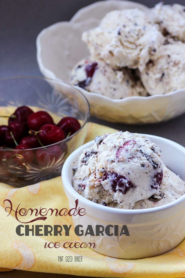 Homemade Ice Cream Maker, By the Pint