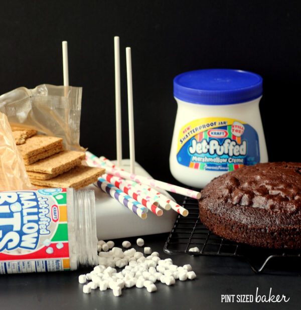 Ingredients needed for the S'mores Cake pops.