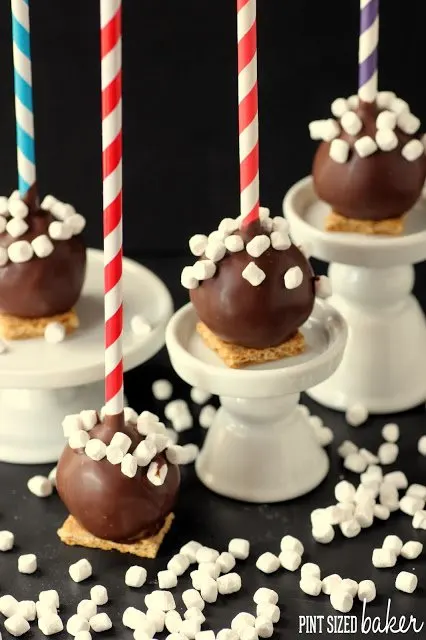 Chocolate Cake pops on top of a graham cracker decorated with  mini dehydrated marshmallows.