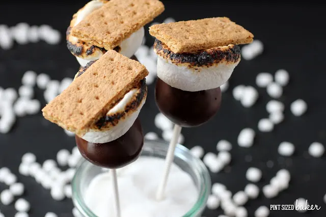 Chocolate cake pops with toasted marshmallow and a graham cracker on top.