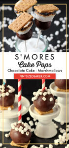 Enjoy summer s'mores in a cake pops form.