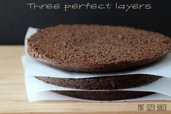 One cake, three equally sliced cakes. This technique works every time. 