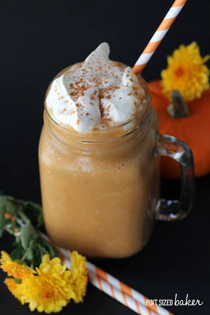 Craving pumpkin pie but don't want all the sugar and carbs? Try this Pumpkin Pie Paleo Shake that is packed full pumpkin power!