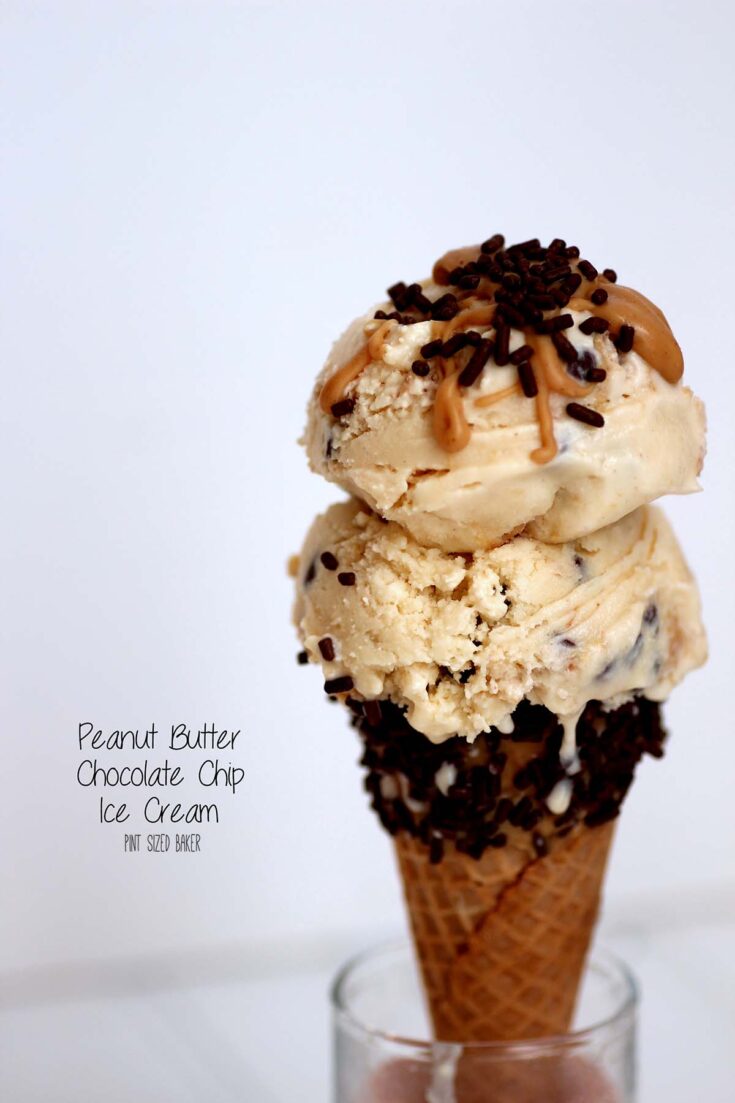 Peanut Butter Chocolate Chip Ice Cream