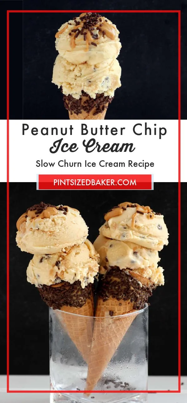 Slow Churn Peanut Butter Chocolate Chip Ice Cream Pint Sized Baker