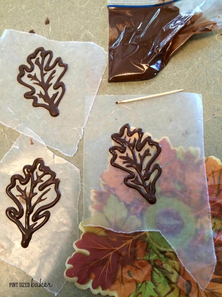 How to Make Chocolate Fall Leaves on Cupcakes +Video