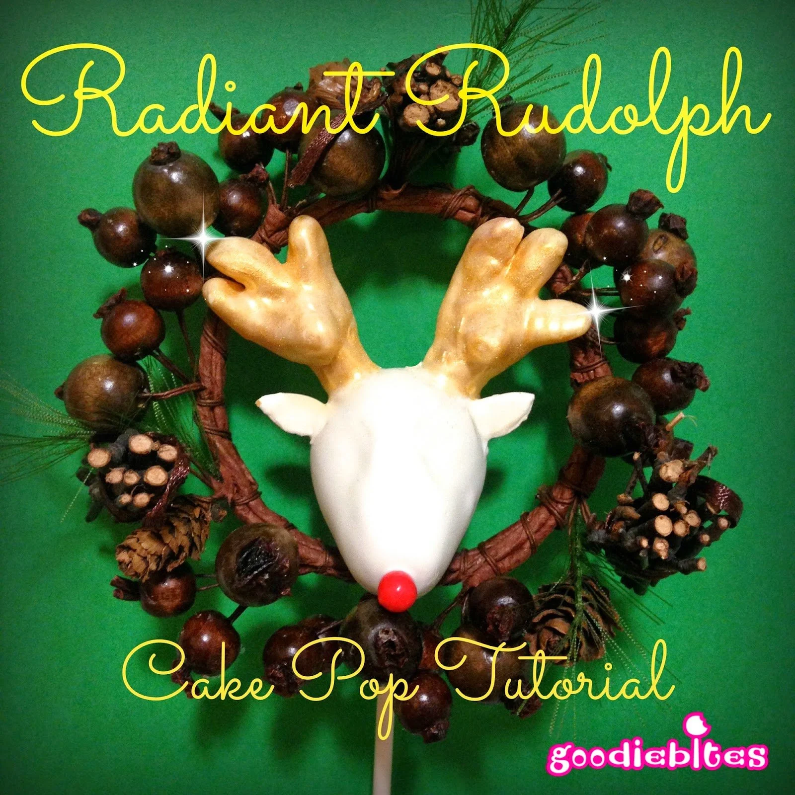 Reindeer busts are all the rage, so why not have fun and make some Rudolph Cake Pops for your Christmas party! This tutorial shows you how!