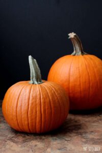 Look for sweet, baking Pumpkins in your grocery store. These make the best pumpkin puree for your pumpkin pies!