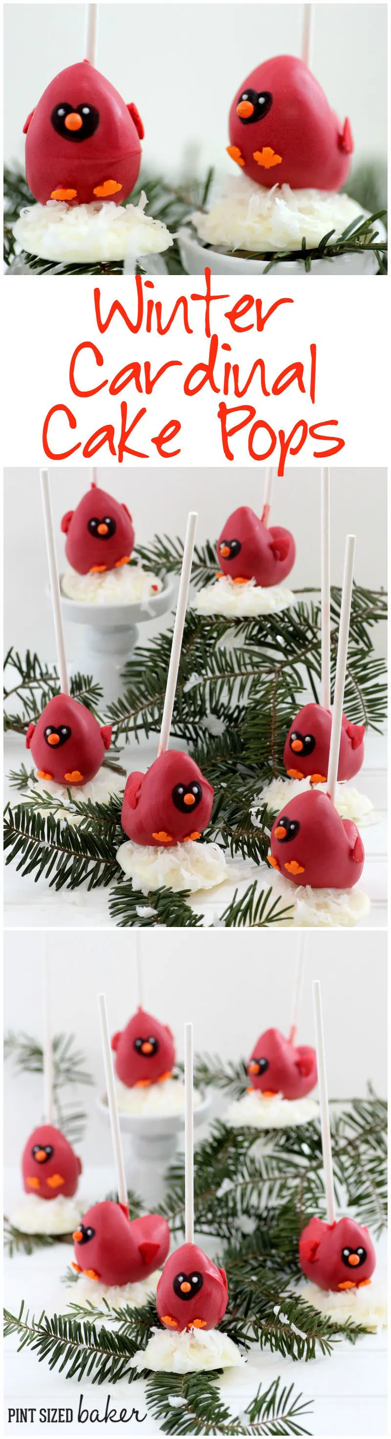 You'll love the step by step instructions on how to make this Cardinal Cake Pops Tutorial. 