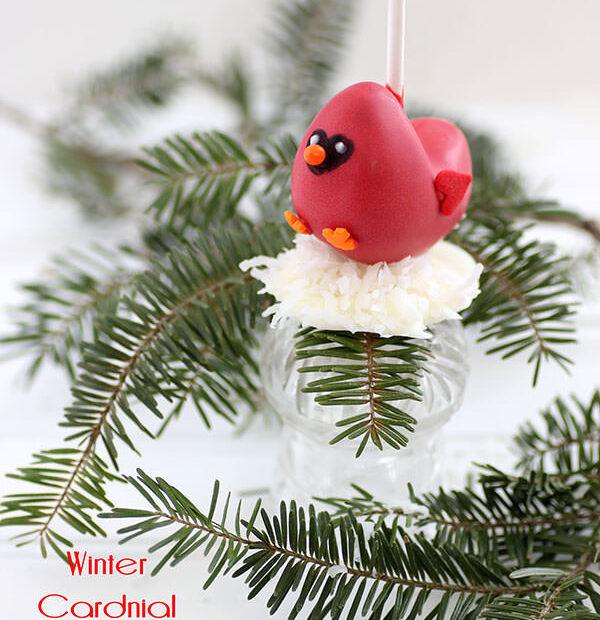 Winter Cardinal Cake Pops Tutorial. Learn how to make these cute cake pops that are great for a winter party.