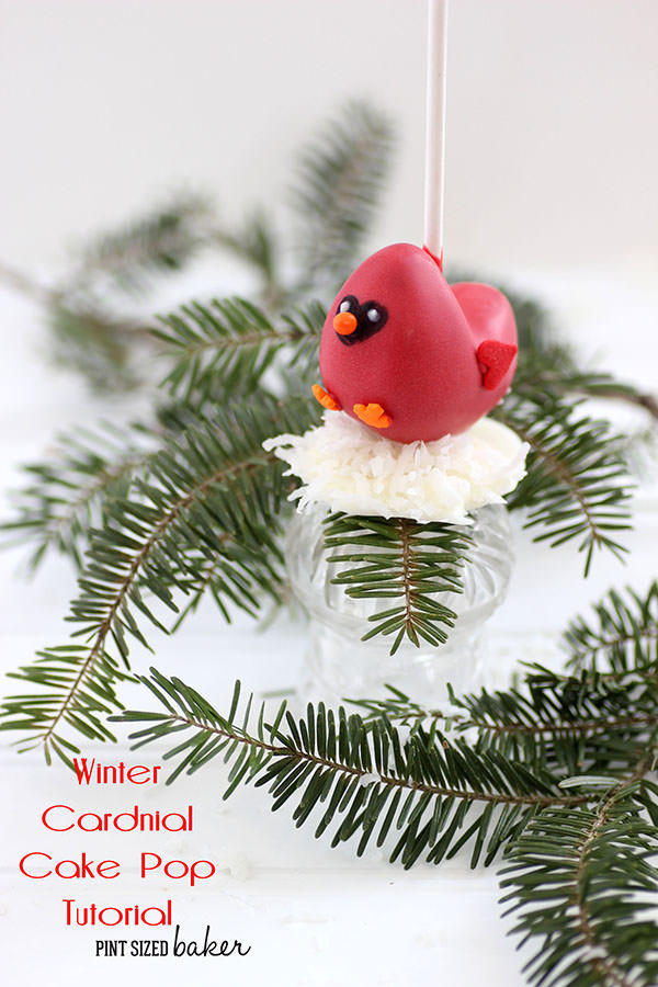 Winter Cardinal Cake Pops Tutorial. Learn how to make these cute cake pops that are great for a winter party.