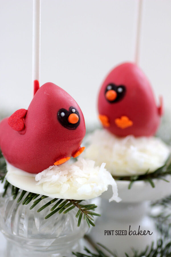 Winter Cardinal Cake Pops Tutorial. Learn how to make these cute cake pops that are great for a winter party.