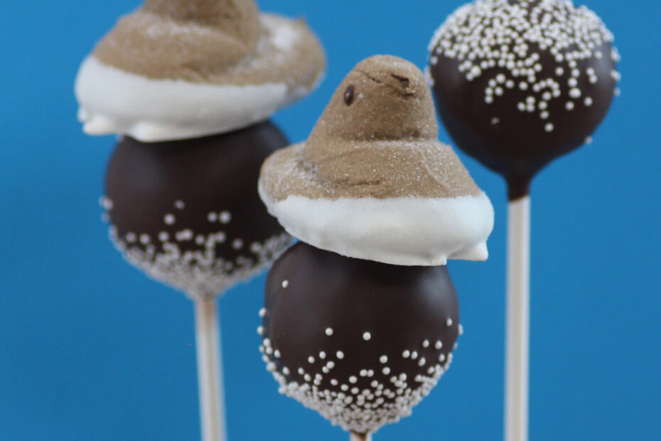 1 ps Cocoa Cookie Pops 18