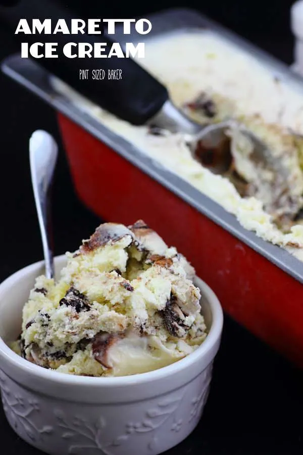 Homemade Ice Cream Maker, By the Pint