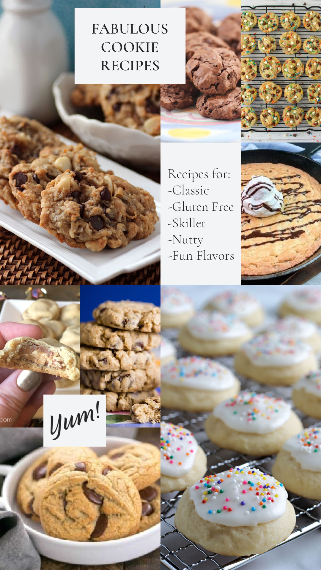Fabulous Cookie Recipes that are perfect to bake for the family. Bring a batch of cookies to the bake sale, book club, or work potluck.