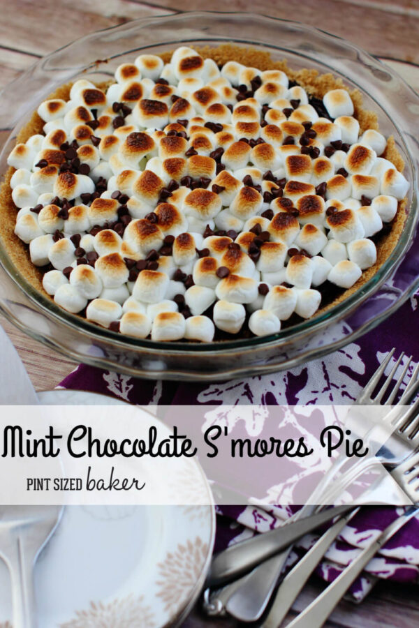 Love s'mores on a summer night? Then you're going to love this Mint Chocolate S'mores Pie with just a few ingredients, it's sure to please the family.