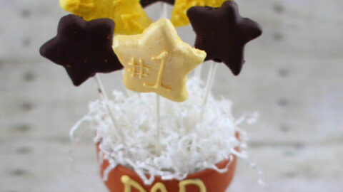 Image for SuperStar Fruit Pops for Your #1 Dad