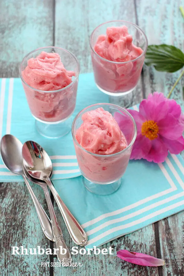 PS Rhubarb Sorbet