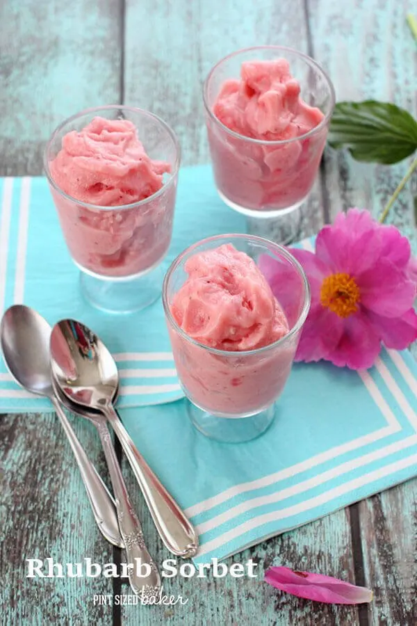 Rhubarb Sherbet