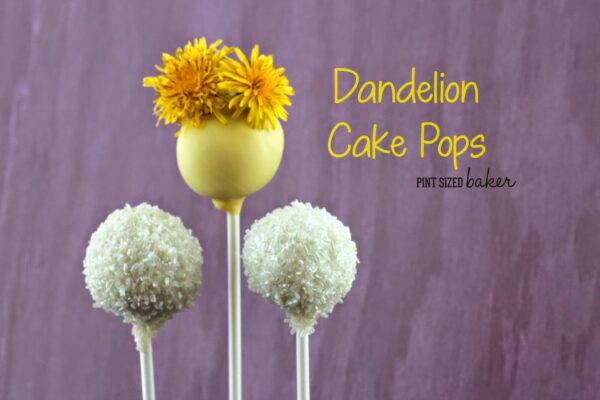 1 ps Dandelion Cake Pops 54