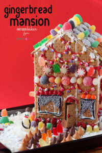 1 sc Gingerbread House 81
