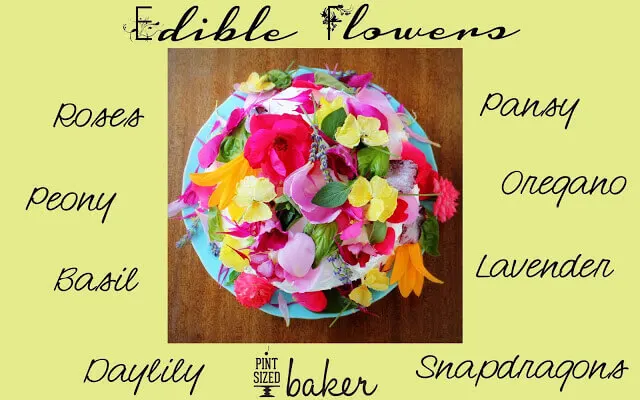 2013 05 26 Home Depot Edible Flower Cake1