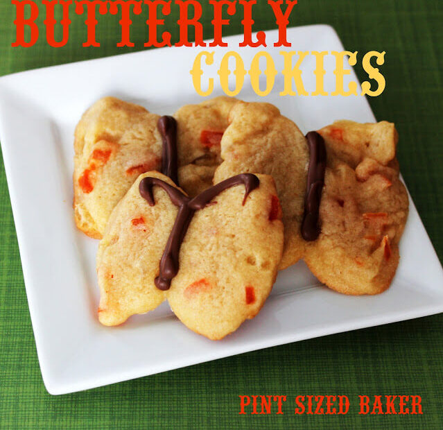PS Butterfly Cookies 47