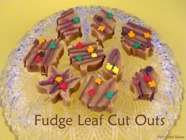 PS Fudge pops 017