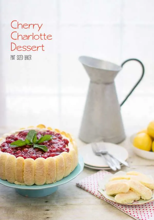 Lead in image of the Cherry Charlotte on a cake platter with ladyfinger cookies on the side. 