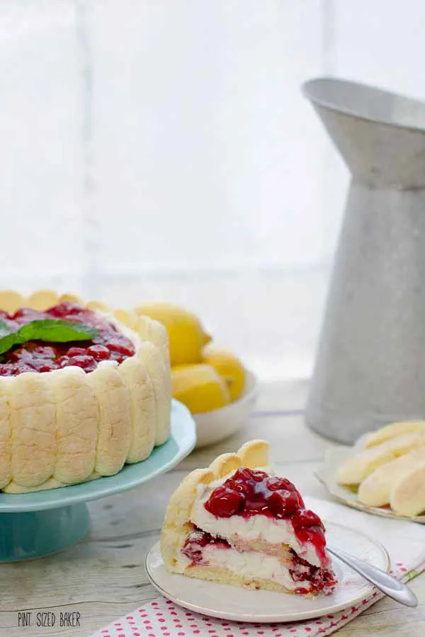 An image of a slice of t he cherry charlotte on a plate with the rest of the dessert behind it.