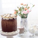This Triple Chocolate Marshmallow Cake is full of great milk chocolate flavor with fun toasted marshmallows on top. It was a winner for dessert!