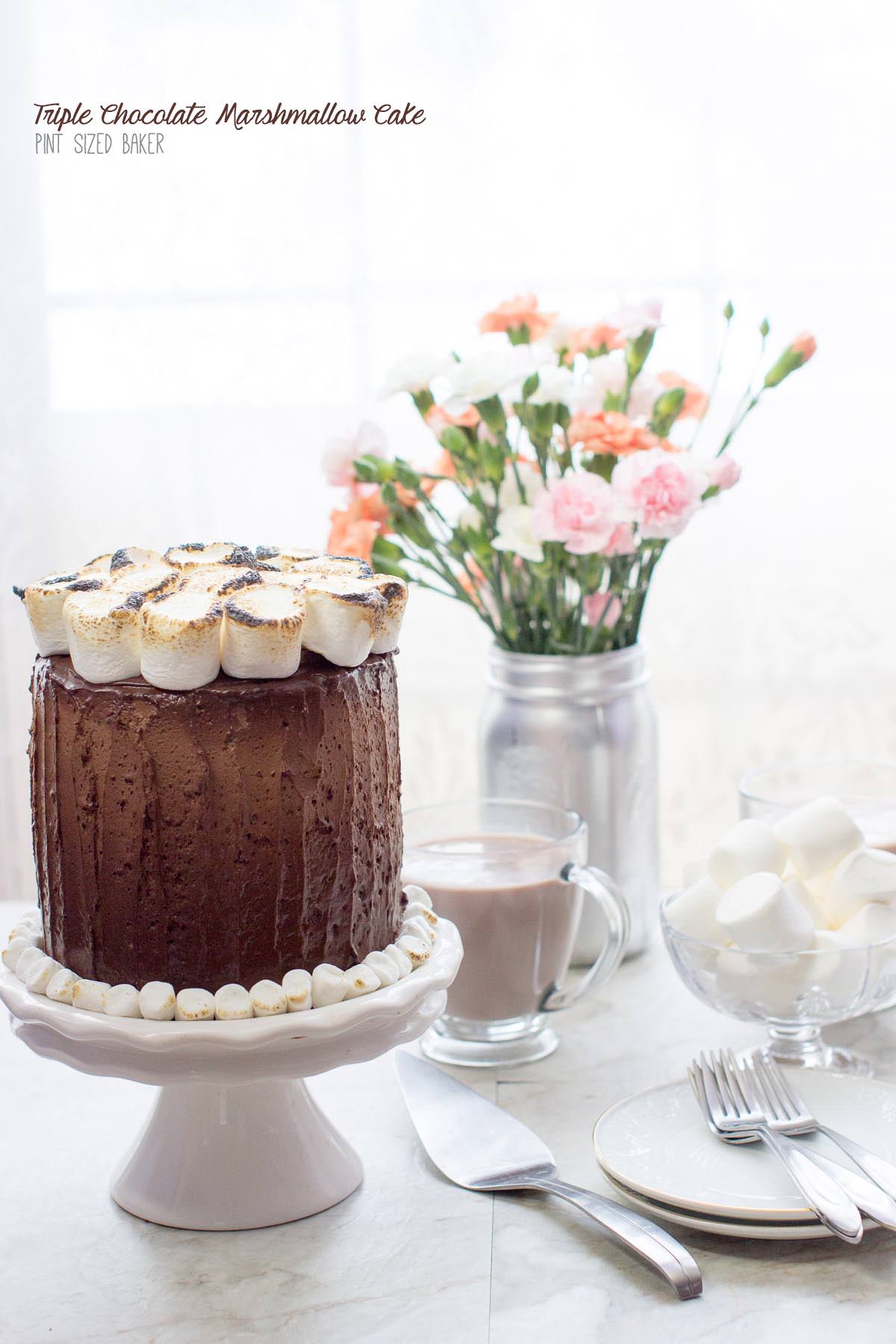 This Triple Chocolate Marshmallow Cake is full of great milk chocolate flavor with fun toasted marshmallows on top. It was a winner for dessert!
