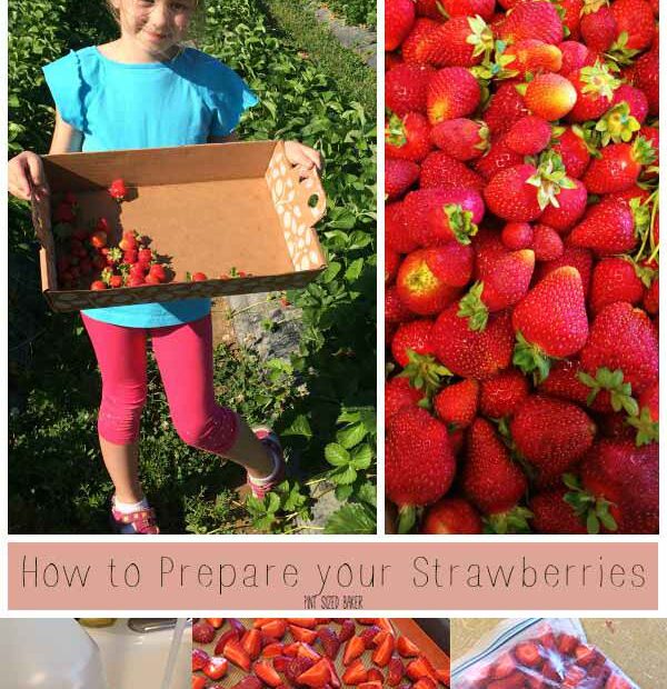 Planning on picking a ton of fresh strawberries this summer? Here's how I wash and prep them to keep all summer long!