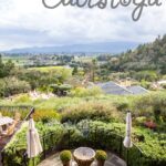 Napa Valley is made up of several towns. Be sure to make you way up north to the quite town of Calistoga for great food, relaxing spas, outstanding wines, and so much more.