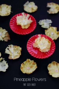 Love these easy dehydrated pineapple flowers. I'm going to add them to a Hummingbird Cake.
