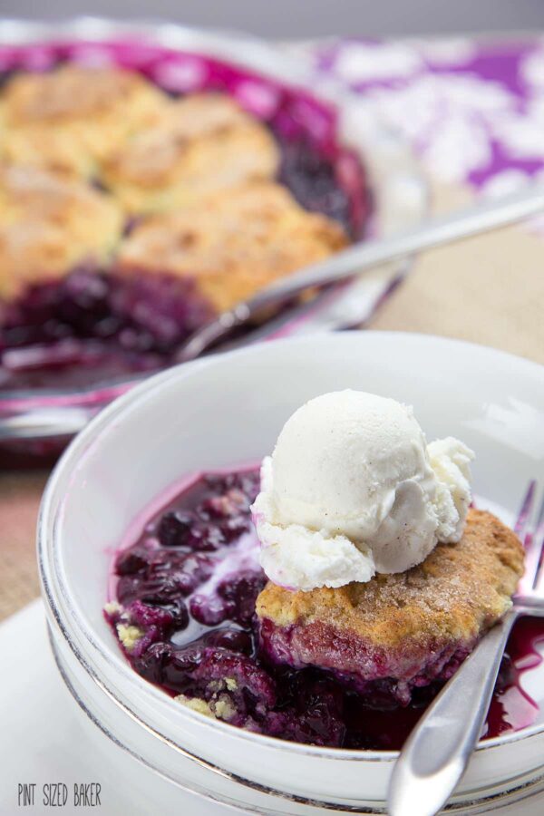 Fresh picked blueberries and some lemon sweetened sugar is all that flavors this wonderful one pan blueberry cobbler.