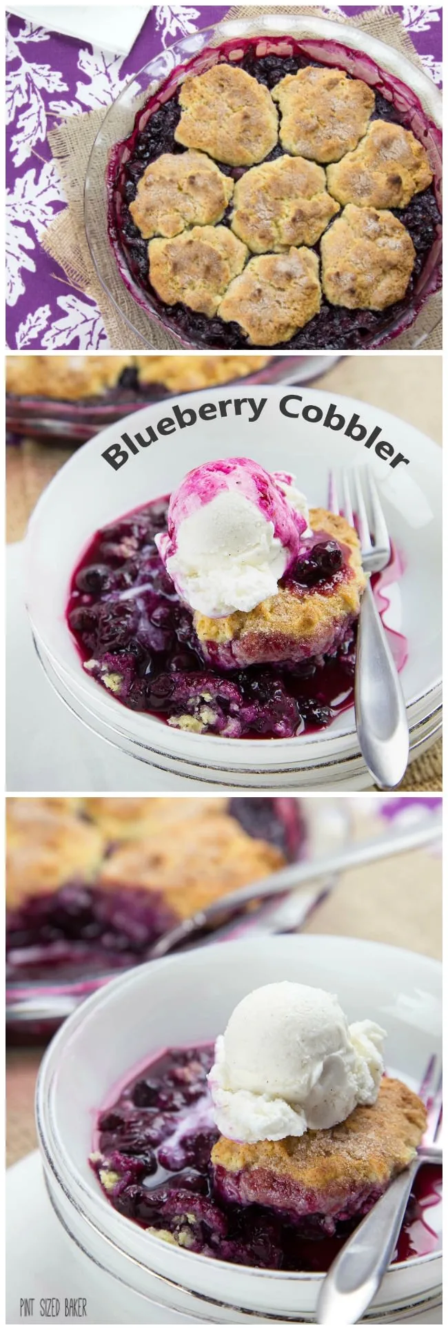 Easy and Delicious - this one pan blueberry cobbler will have you coming back for more!