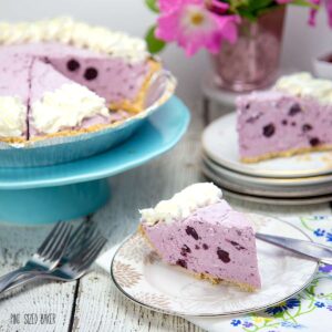 Blueberry flavored Frozen Yogurt Pie. What a summertime favorite!