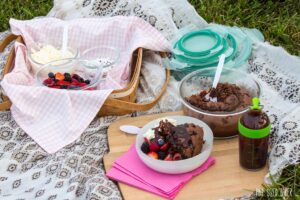 Chocolate cake, fresh fruit, whipped cream and chocolate sauce all packed up and brought on a picnic outing.