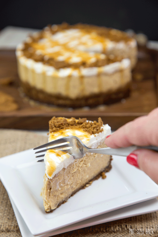 Dig in this Thanksgiving with a small Pressure Cooker Pumpkin Cheesecake.