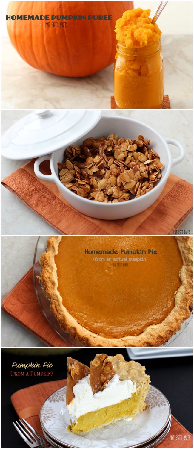 A great homemade pumpkin pie starts with a real pumpkin, pumpkin puree, honey roasted pumpkin seeds, real whipped cream and toffee shards.