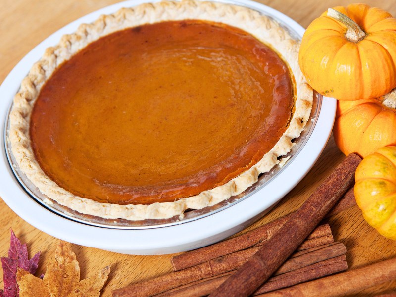 pumpkin-pie-basic-fecipe