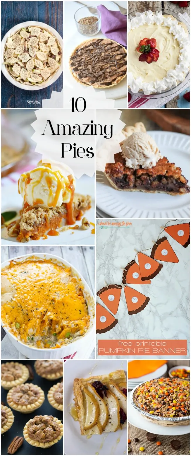 Ten Amazing Pies to make, bake, and create this fall season!