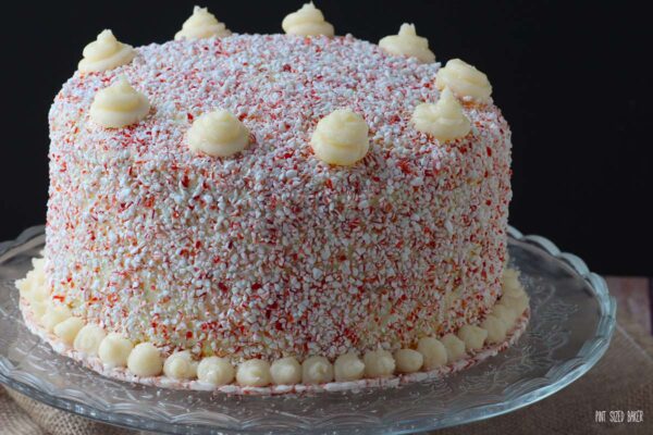 A stunning Candy Cane Cake that my guests LOVED! The candy cane bits were the perfect compliment to the dark chocolate cake.