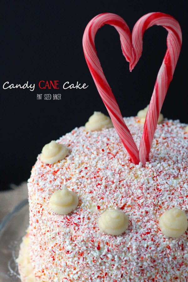 A stunning Candy Cane Cake that my guests LOVED! The candy cane bits were the perfect compliment to the dark chocolate cake.