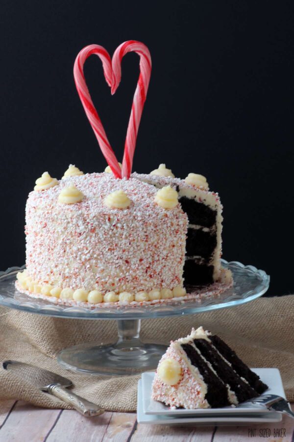 Enjoy a slice of this Candy Cane Cake! Dark Chocolate Cake with white chocolate frosting and coated in candy cane bits.