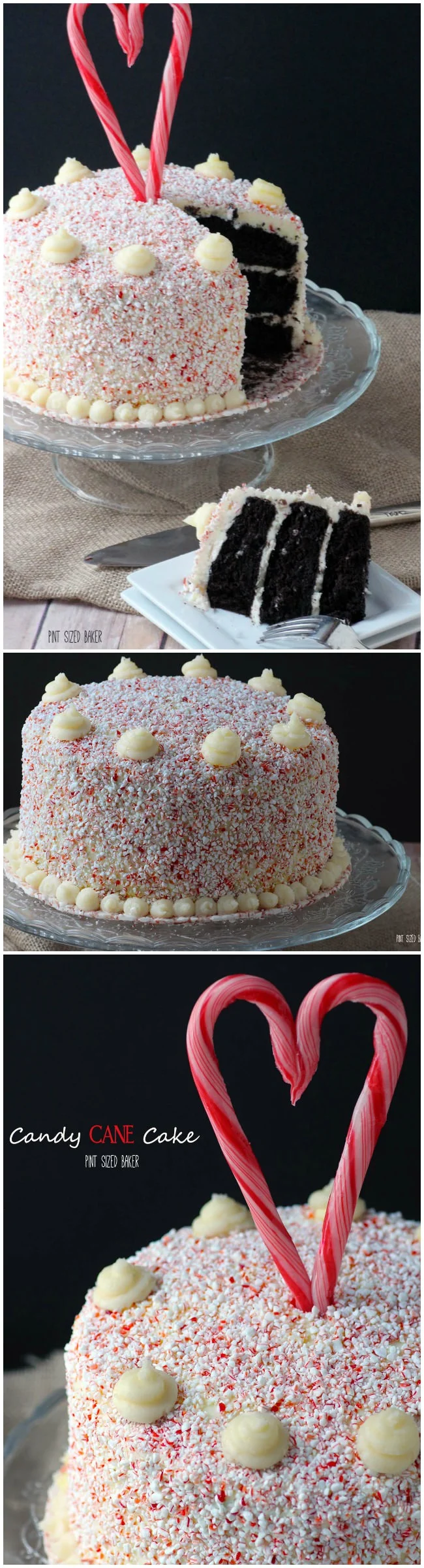 Dark Chocolate Cake with a Candy Cane coating. This Candy Cane Cake is perfect for a Christmas party!