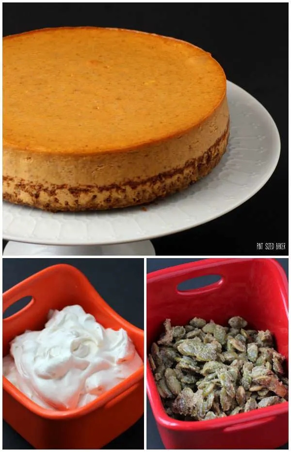 A basic Pumpkin Cheesecake is turned into something amazing when you add some whipped cream and sugared pepitas.