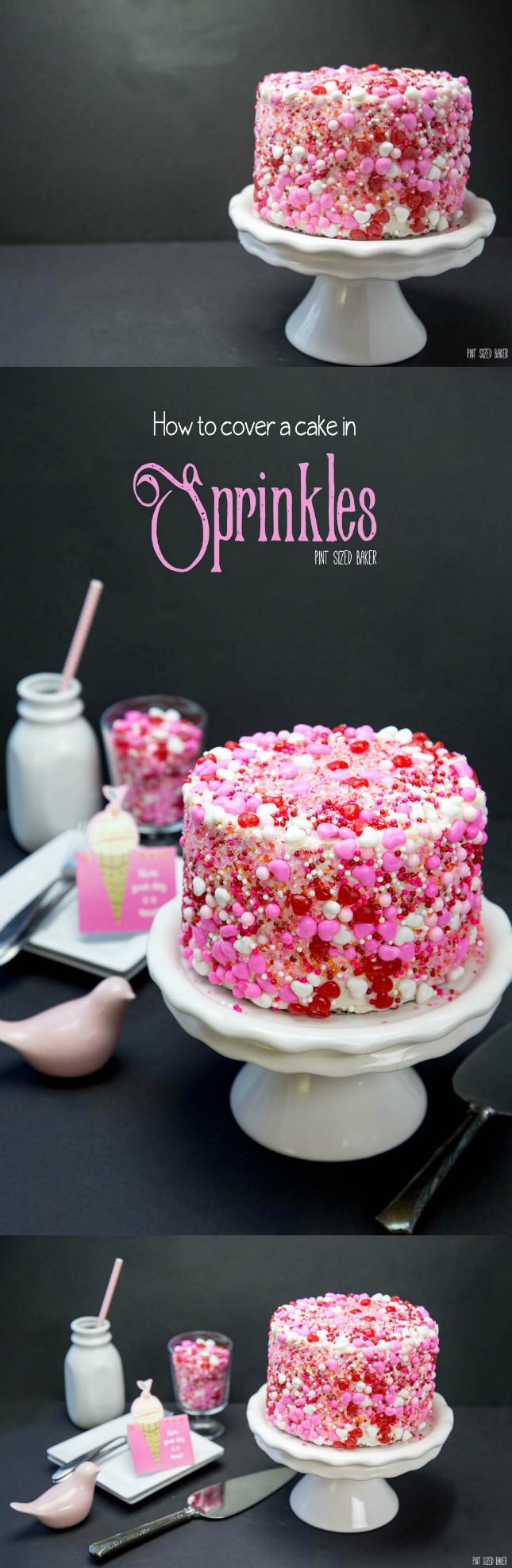 Learn how to cover a cake in Sprinkles. This Sprinkle Cake is sure to be a huge hit at your next party!